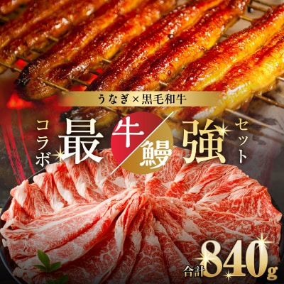 ≪数量限定≫うなぎ×黒毛和牛(経産牛) 都農町最強セットD 肉 牛肉 おかず_T030-132-02