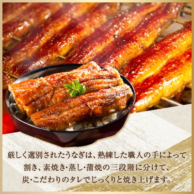 ≪数量限定≫うなぎ×黒毛和牛(経産牛) 都農町最強セットD 肉 牛肉 おかず_T030-132-02