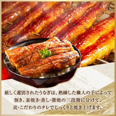 ≪数量限定≫うなぎ×黒毛和牛(経産牛) 都農町最強セットD 肉 牛肉 おかず_T030-1323
