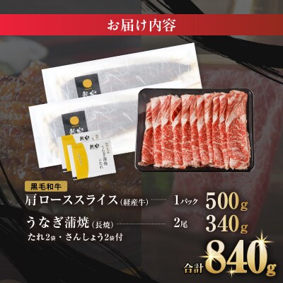 ≪数量限定≫うなぎ×黒毛和牛(経産牛) 都農町最強セットD 肉 牛肉 おかず_T030-1323