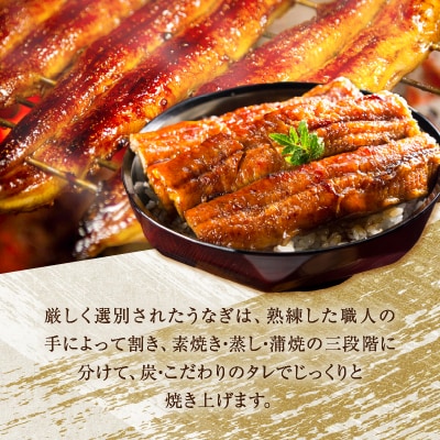 ≪数量限定≫うなぎ×宮崎牛 都農町最強セットA 肉 牛 牛肉 焼肉 国産_T030-1293