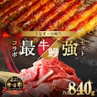 10/1寄附額改定≪数量限定≫うなぎ×宮崎牛 都農町最強セットC_T030-131-02