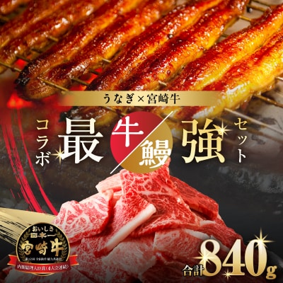 ≪数量限定≫うなぎ×宮崎牛 都農町最強セットC 肉 牛 牛肉 焼肉 国産_T030-1313