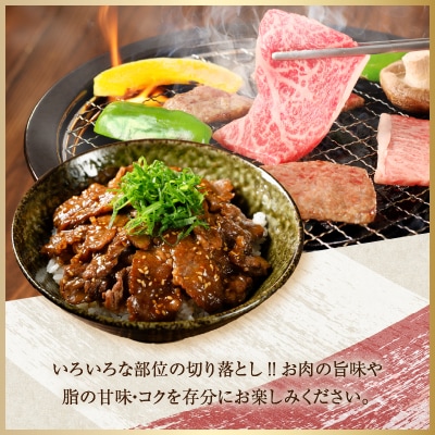 ≪数量限定≫うなぎ×宮崎牛 都農町最強セットC 肉 牛 牛肉 焼肉 国産_T030-1313