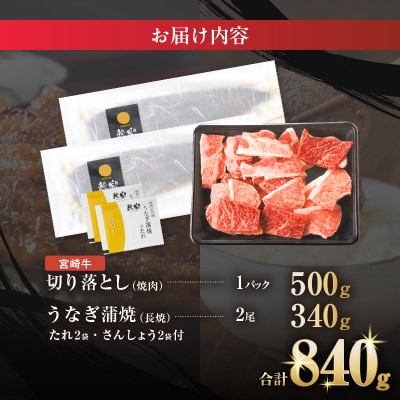 ≪数量限定≫うなぎ×宮崎牛 都農町最強セットC 肉 牛 牛肉 焼肉 国産_T030-1313