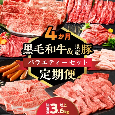 ≪4か月定期便≫黒毛和牛&県産豚バラエティーセット(総重量3.6kg以上)_T030-144