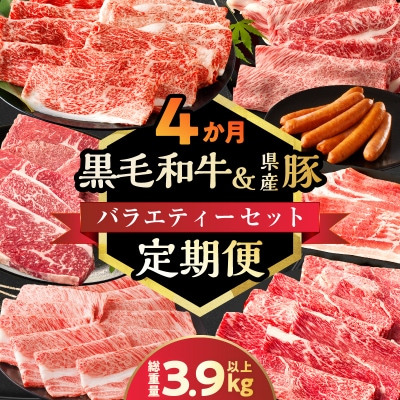 ≪4か月定期便≫黒毛和牛&県産豚バラエティーセット総重量3.9kg以上_T030-1813