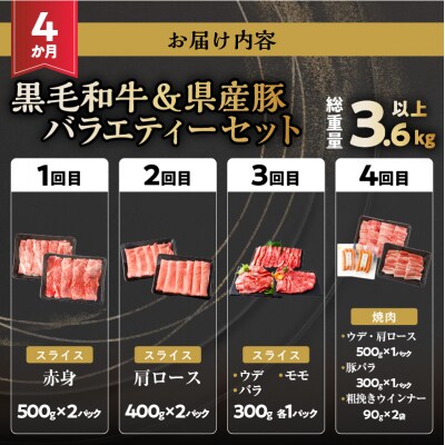 ≪4か月定期便≫黒毛和牛&県産豚バラエティーセット(総重量3.6kg以上)_T030-144