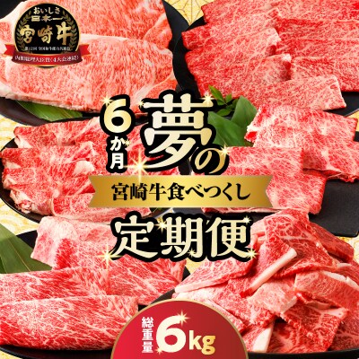 ≪6か月定期便≫夢の宮崎牛食べつくしセット(総重量6kg)_T030-143