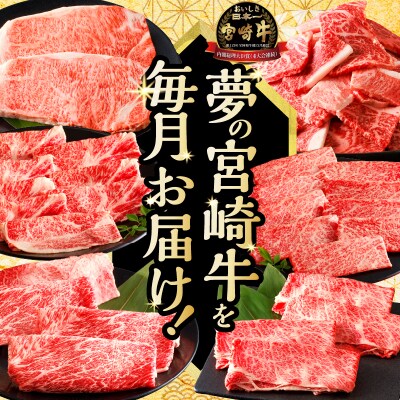 ≪6か月定期便≫夢の宮崎牛食べつくしセット(総重量6kg)_T030-143