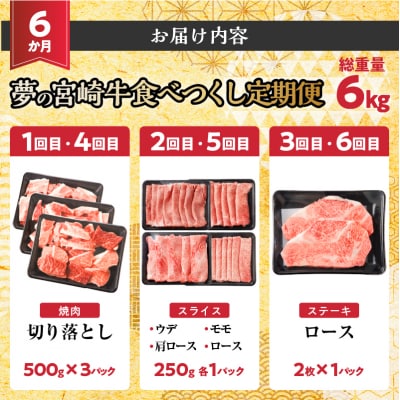 ≪6か月定期便≫夢の宮崎牛食べつくしセット(総重量6kg)_T030-1433