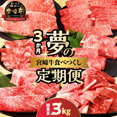 10/1寄附額改定≪3か月定期便≫夢の宮崎牛食べつくしセット(総重量3kg)_T030-142