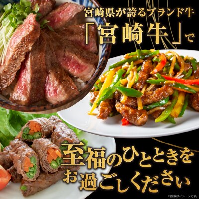 ≪3か月定期便≫夢の宮崎牛食べつくしセット(総重量3kg)_T030-1423