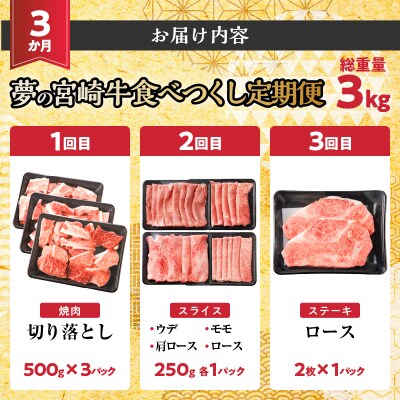 ≪3か月定期便≫夢の宮崎牛食べつくしセット(総重量3kg)_T030-1423