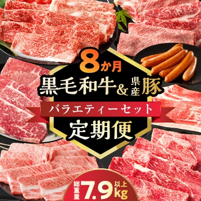 ≪8か月定期便≫黒毛和牛&県産豚バラエティーセット総重量7.9kg以上_T030-1823