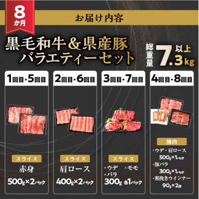 ≪8か月定期便≫黒毛和牛&県産豚バラエティーセット(総重量7.3kg以上)_T030-145