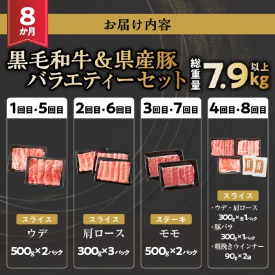 ≪8か月定期便≫黒毛和牛&県産豚バラエティーセット総重量7.9kg以上_T030-1823