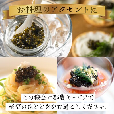 【2週間以内発送】都農キャビア(計20g) 魚 魚介 魚卵 国産_T047-0021
