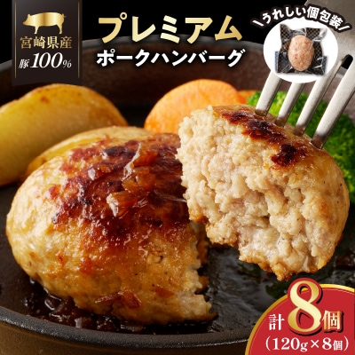 宮崎県産豚プレミアムハンバーグ(計8個) 肉 豚肉 加工品 惣菜 国産_T001-0091