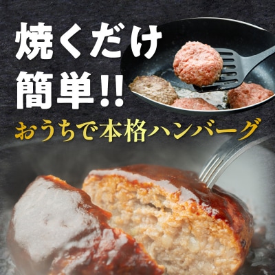 宮崎県産豚プレミアムハンバーグ(計8個) 肉 豚肉 加工品 惣菜 国産_T001-0091