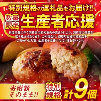 生産者応援【期間・数量限定特別規格】宮崎県産豚プレミアムハンバーグ(計9個)T001-0091-ZO