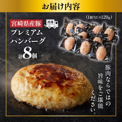 宮崎県産豚プレミアムハンバーグ(計8個) 肉 豚肉 加工品 惣菜 国産_T001-0091