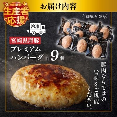 生産者応援【期間・数量限定特別規格】宮崎県産豚プレミアムハンバーグ(計9個)T001-0091-ZO