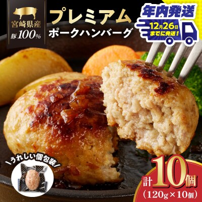 ＼年内発送!!/宮崎県産豚プレミアムハンバーグ(計10個) 肉 豚肉 加工品_T001-0101-N