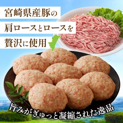 ＼年内発送!!/宮崎県産豚プレミアムハンバーグ(計10個) 肉 豚肉 加工品_T001-0101-N
