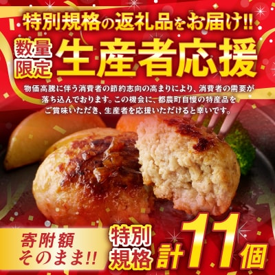 生産者応援【期間・数量限定特別規格】宮崎県産豚プレミアムハンバーグ計11個_T001-0101-ZO