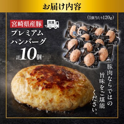宮崎県産豚プレミアムハンバーグ(計10個) 肉 豚肉 加工品 惣菜 国産_T001-0101