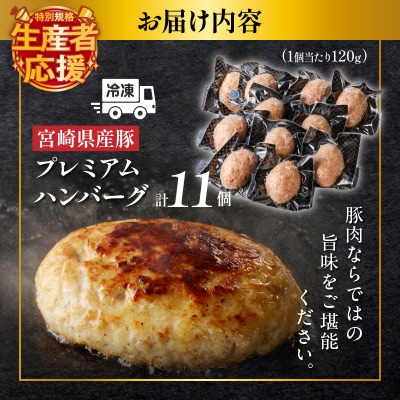 生産者応援【期間・数量限定特別規格】宮崎県産豚プレミアムハンバーグ計11個_T001-0101-ZO