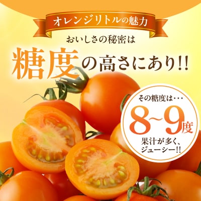 生産者応援【期間・数量限定特別規格】オレンジリトル(計2kg)ミニトマト_T040-0011-ZO