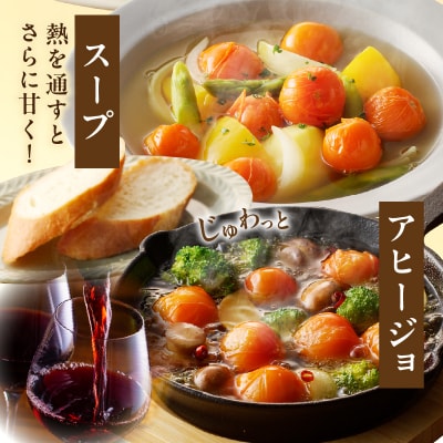 ≪期間限定≫オレンジリトル(計1.6kg) ミニトマト 野菜 サラダ 国産_T040-0011