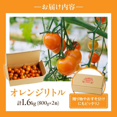 先行受付≪期間限定≫オレンジリトル(計1.6kg) ミニトマト 野菜 サラダ_T040-0011