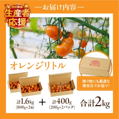 生産者応援【期間・数量限定特別規格】オレンジリトル(計2kg)ミニトマト_T040-0011-ZO