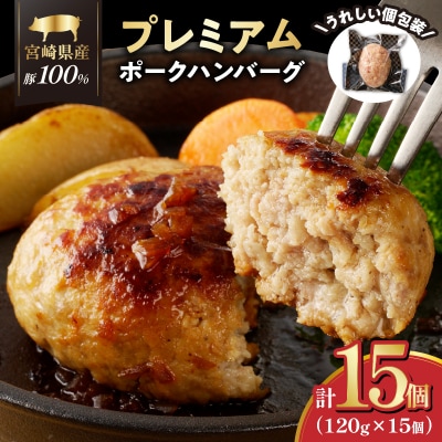 宮崎県産豚プレミアムハンバーグ(計15個) 肉 豚肉 加工品 惣菜 国産_T001-0111