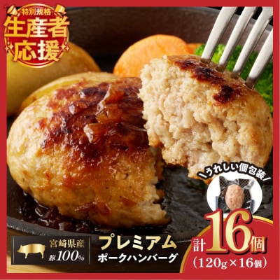 生産者応援【期間・数量限定特別規格】宮崎県産豚プレミアムハンバーグ計16個_T001-0111-ZO