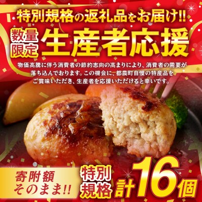 生産者応援!!【期間・数量限定】宮崎県産豚プレミアムハンバーグ(計16個)_T001-0111-ZO