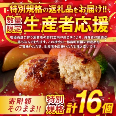 生産者応援【期間・数量限定特別規格】宮崎県産豚プレミアムハンバーグ計16個_T001-0111-ZO