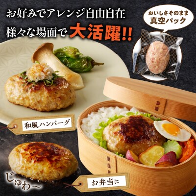＼年内発送!!/宮崎県産豚プレミアムハンバーグ(計15個) 肉 豚肉 加工品_T001-0111-N