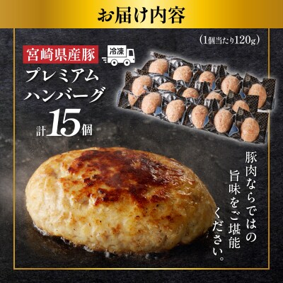 宮崎県産豚プレミアムハンバーグ(計15個) 肉 豚肉 加工品 惣菜 国産_T001-0111