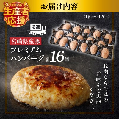 生産者応援!!【期間・数量限定】宮崎県産豚プレミアムハンバーグ(計16個)_T001-0111-ZO