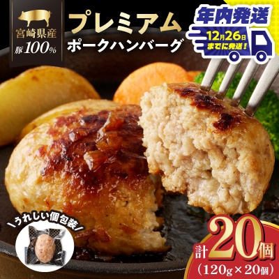 ＼年内発送!!/宮崎県産豚プレミアムハンバーグ(計20個) 肉 豚肉 加工品_T001-0121-N