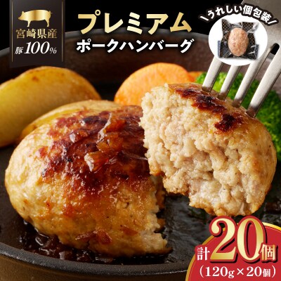 宮崎県産豚プレミアムハンバーグ(計20個) 肉 豚肉 加工品 惣菜 国産_T001-0121