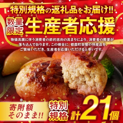 生産者応援【期間・数量限定特別規格】宮崎県産豚プレミアムハンバーグ計21個_T001-0121-ZO