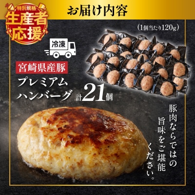 生産者応援!!【期間・数量限定】宮崎県産豚プレミアムハンバーグ(計21個)_T001-0121-ZO