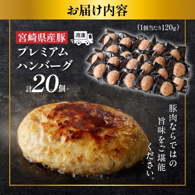 宮崎県産豚プレミアムハンバーグ(計20個) 肉 豚肉 加工品 惣菜 国産_T001-0121