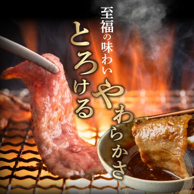 【2週間以内発送】宮崎県産黒毛和牛切り落とし(焼肉用)計500g 牛 牛肉 国産_T023-0161