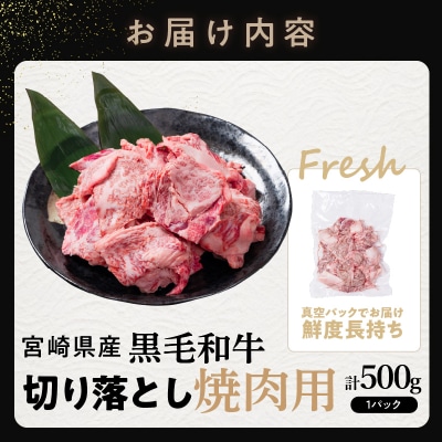 【2週間以内発送】宮崎県産黒毛和牛切り落とし(焼肉用)計500g 牛 牛肉 国産_T023-0161